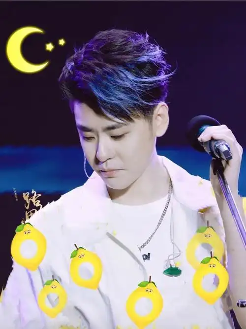 你对张云雷 2021 年 12 月 26 日海南陵水酷狗国潮音乐节的表演有何