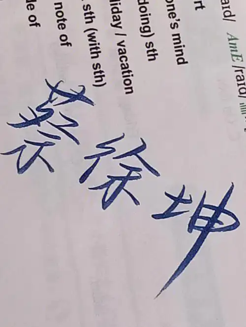 今日手写蔡徐坤