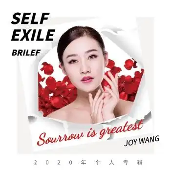 个人专辑歌手歌曲cd封面