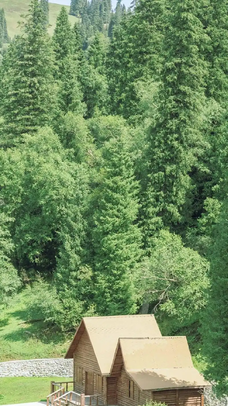 大自然清新风景图片手机壁纸