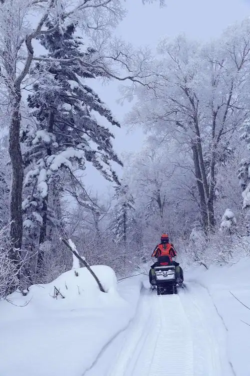 长白山仙峰雪岭无人区 写美篇自驾线路: 延龙公路s206入口→仙峰森林