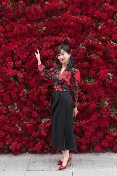 温碧霞|赵雅芝|周慧敏|女明星_网易订阅