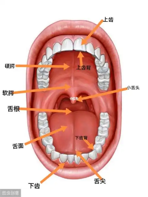 如何发好舌根音gkh