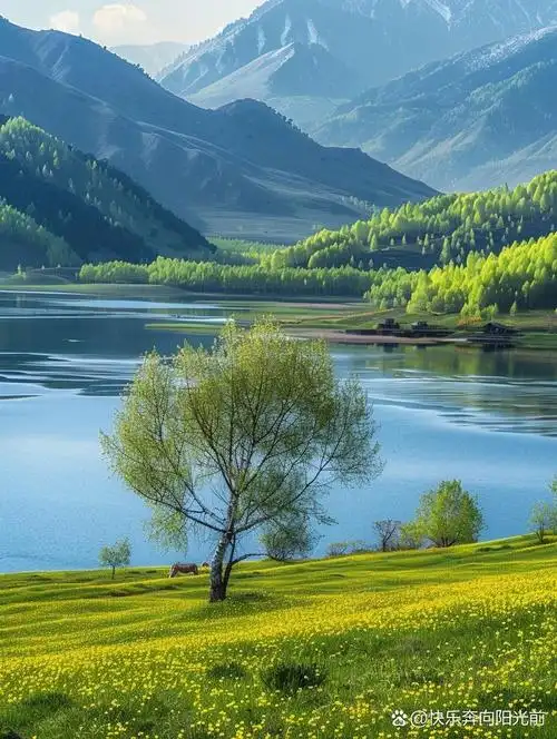 美丽大自然—治愈系风景