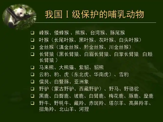 我国一级保护动物中的哺乳动物