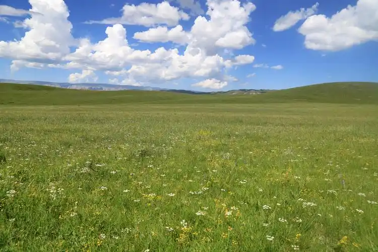 5万平方公里,以高寒阴湿的高寒草甸草原为主,海拔多在3000米以上,年均