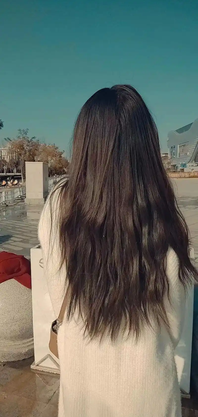 每一张都是满满的回忆 用心打扮  #背影合集#长发及腰 #爱 - 抖音