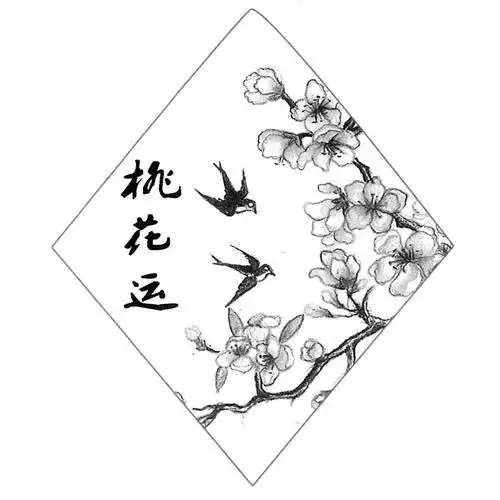 商标文字桃花运商标注册号 37861641,商标申请人汪仁平的商标详情