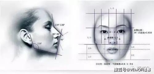 五官黄金比例的示意图