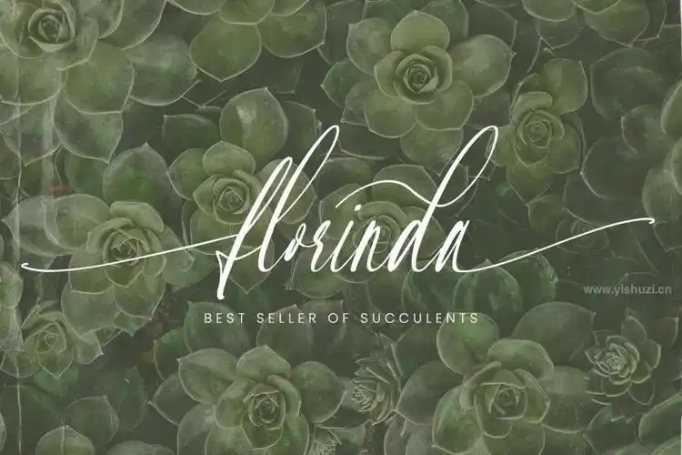 优雅时尚简洁的英文手写花体字体-stay lucky - 艺字网