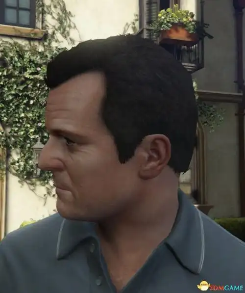 侠盗猎车5富兰克林和米歇尔的超清面部mod