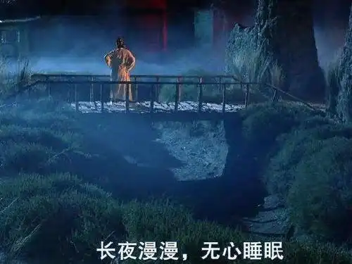 其代表影视作品有《唐伯虎点秋香》,《大话西游》,《国产凌凌漆》