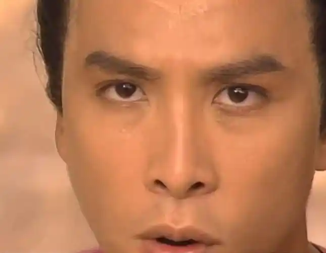 洪熙官:甄子丹真功夫,亲手干掉少林叛徒,废了他的手臂和腿!