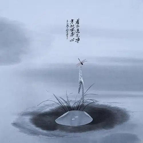 净化心灵的图片