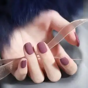 网红款磨砂指甲油胶2020年新款莫兰迪色系浆果色哑光封层美甲专用