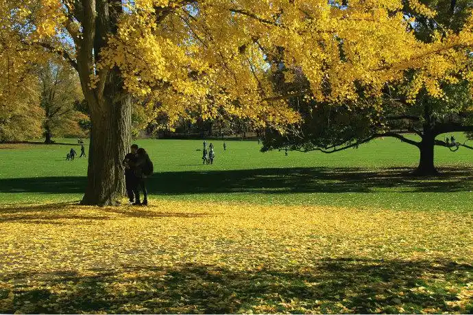 秋冬仍缱绻(下)