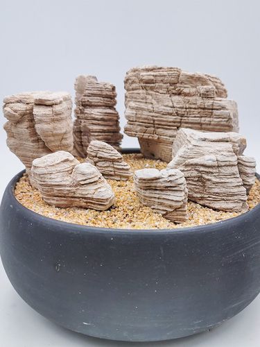 千层石组合细纹多层原石鱼缸天然造景假山石头微景观盆景摆件小块