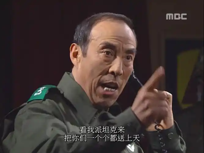 那些在第五共和国出现的韩国旗帜