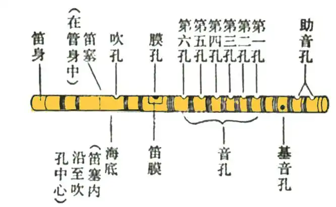 从理论上来说笛子任何一个音孔都可以做1,也就是说一支笛子可以有七种