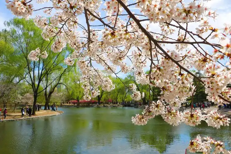 北京玉渊潭公园