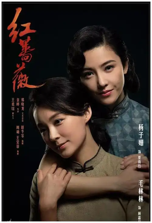 杨子姗毛林林相爱相杀《红蔷薇》她们被欲望诱惑信仰害惨