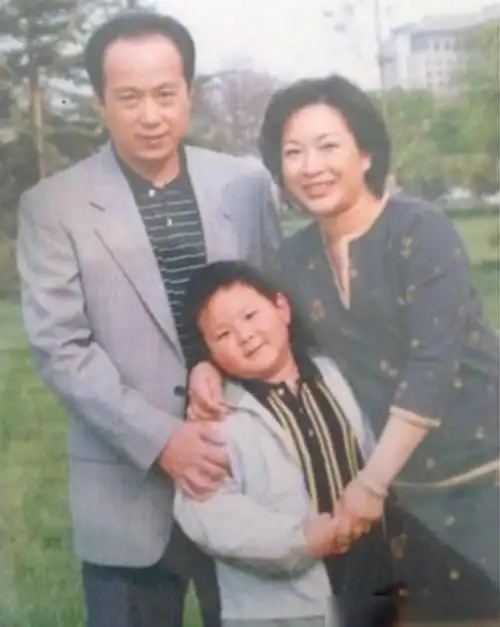 央视主持人罗京逝世11年,妻子改嫁富商,他的墓地有个"怪相"