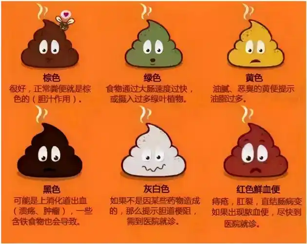 三,黑便在临床上,又被称作"肝源性腹泻",是肝不好的表现之一.