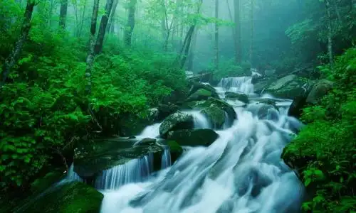 绿色优美风景,锁屏图片,高清手机壁纸,风景-回车桌面