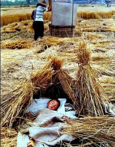 80后农村孩子的童年看完勾起心酸的记忆