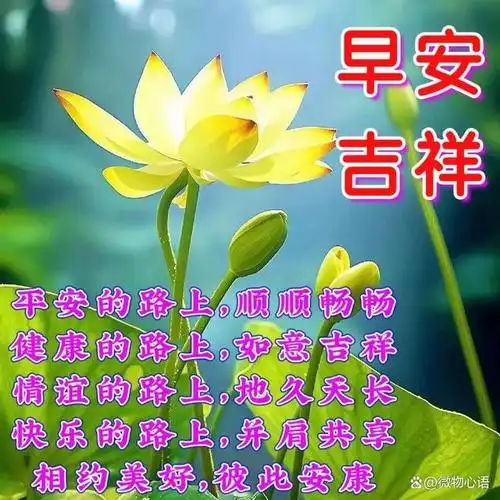 唯美的早上好祝福表情图片,吉祥如意,幸福安康!