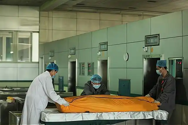 火葬场死刑犯复活记!