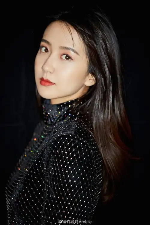 许龄月的日记本