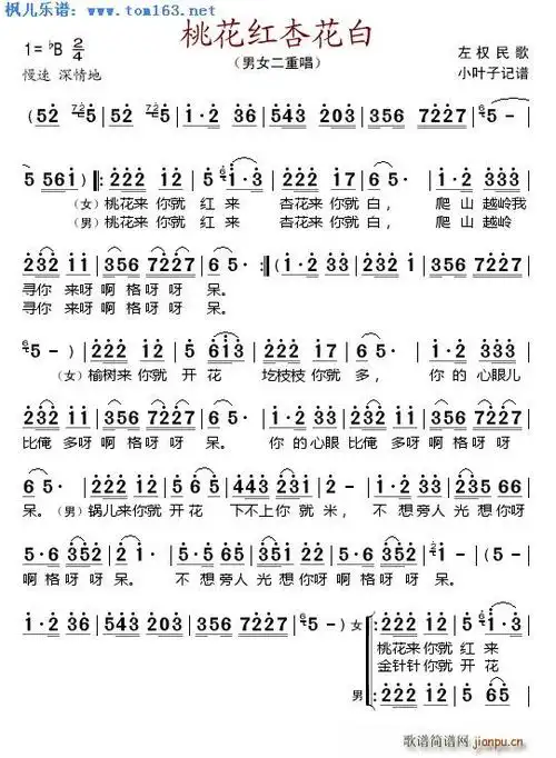 桃花红杏花白 男女二重唱 歌谱简谱网