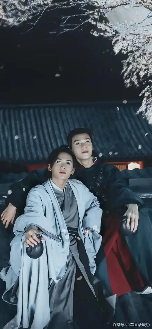 山河令张哲瀚龚俊壁纸,网友:天窗之主和鬼谷谷主真般配!