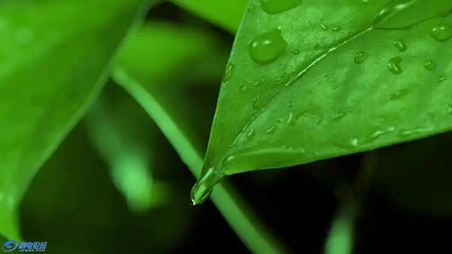 samsungoled1080p演示片截图欣赏