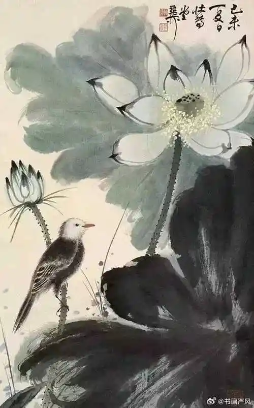 谢稚柳荷花国画.