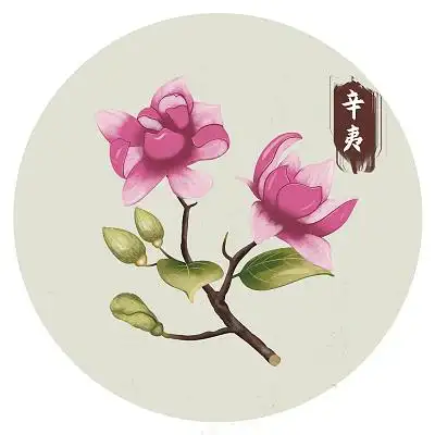 中草药本草纲目手绘卡通医疗医院原创插画海报儿童插画卡通手绘儿童