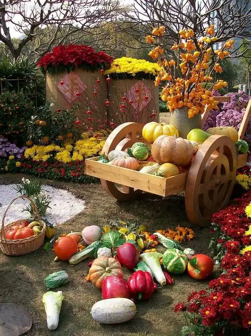 丰收的果实摄影图__田园风光_自然景观_摄影图库_昵图网nipic.com