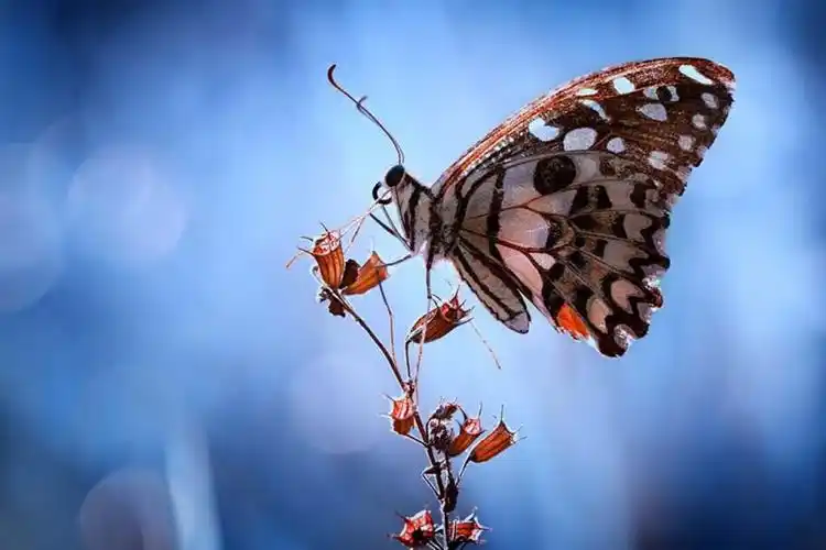 看看春天的样子