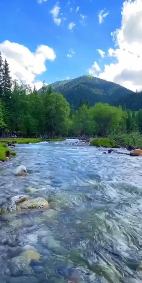 旅游进行时#新疆伊犁最美河流,大自然清澈见底的小河,悦耳动听的了