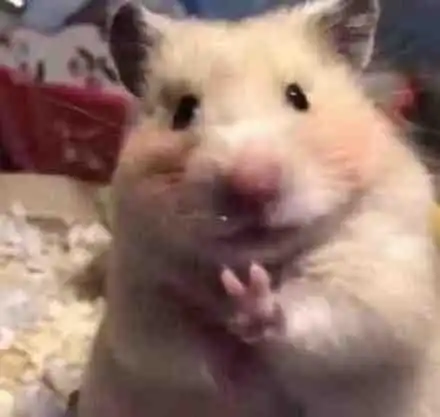 比耶表情包 - 比耶微信表情包 - 比耶qq表情包 - 发表情 fabiaoqing.