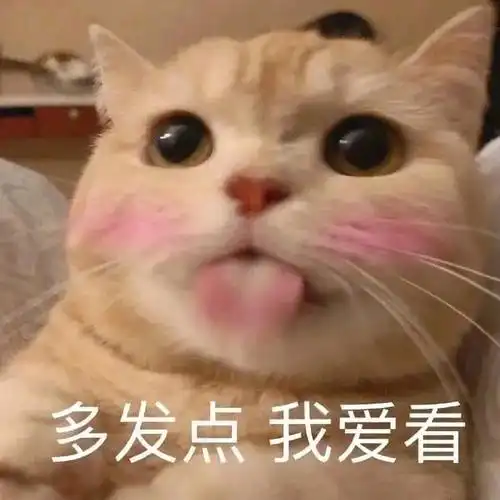 斗图必备,表情包让你笑傲江湖!