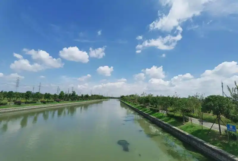 上海这个镇河道绿化种植超31万平打造一河一品美丽乡村景观
