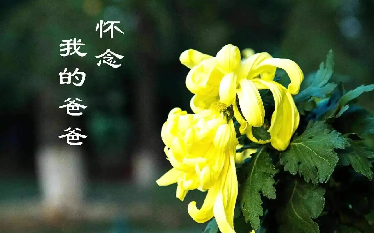 父亲百日祭.今天是你离开我们的一百天!