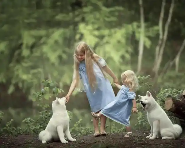 他拍出了世上最暖心的瞬间看完整个人都被治愈了