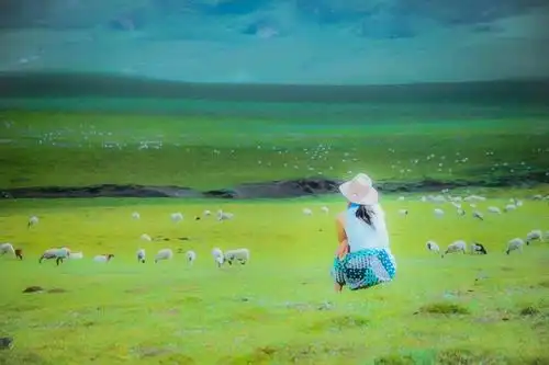 一片明媚  吐露  一丝芬芳  任世上 潮起潮落  看 人间 云淡风轻