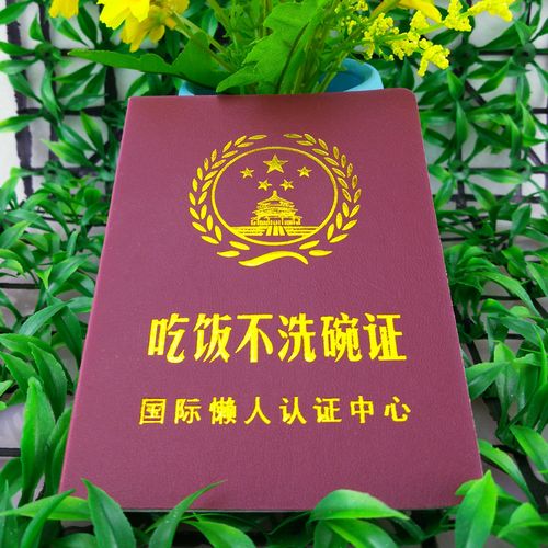 吃饭不洗碗证搞笑证书个性创意整蛊恶搞搞怪礼品千奇百怪礼物