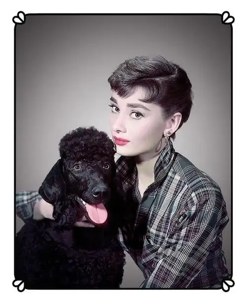 十张精美照片,再现天使奥黛丽·赫本之美