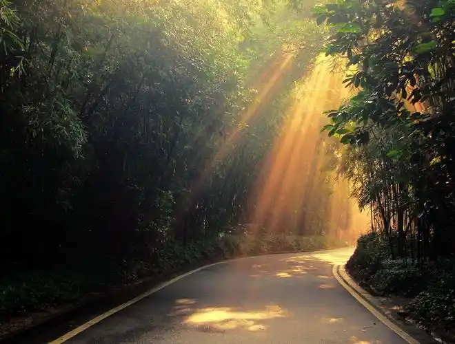 其它 清晨 写美篇清晨,一缕晨曦从窗帘缝里挤进来 触碰着疲乏的眼睛