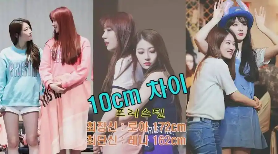 twice 子瑜:170cm 多贤:158cm 身高差:12cm apink 夏荣:170cm 恩地